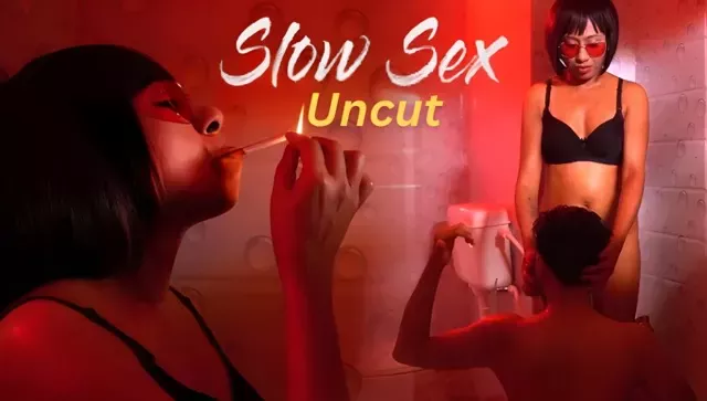 Slow Sex (2026) Uncut Hindi Web Series